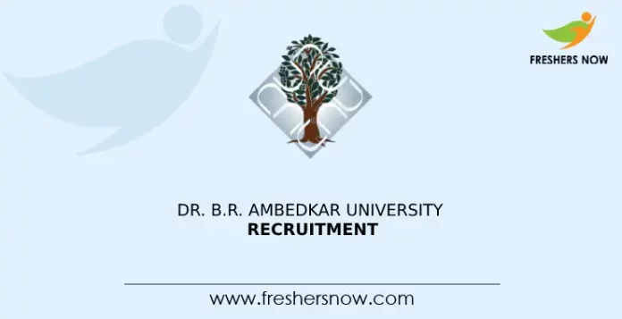 Dr. B.R. Ambedkar University Recruitment