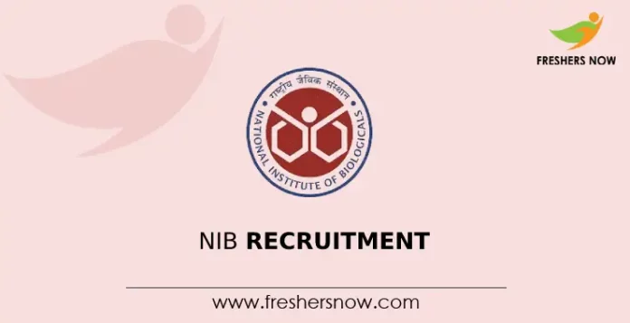 NIB Recruitment