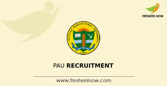 PAU Recruitment