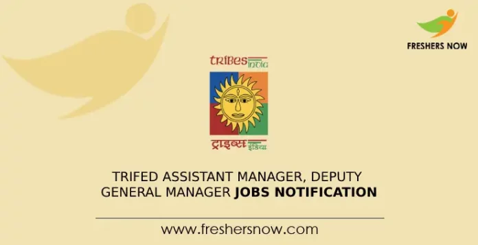 TRIFED Assistant Manager, Deputy General Manager Jobs Notification