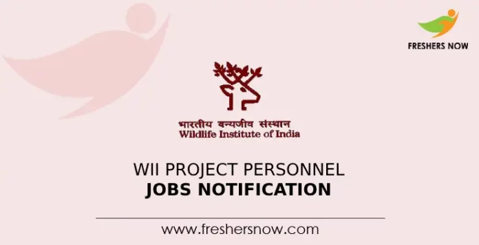 WII Project Personnel Jobs Notification