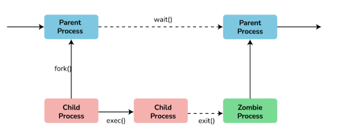 What is the difference between a process and a thread in Linux?