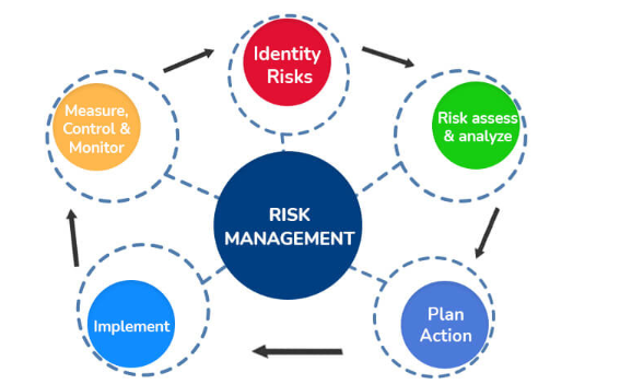 8. What are the five steps of Risk Management