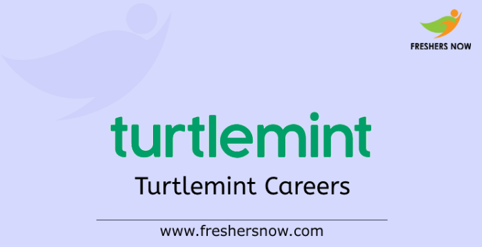 Turtlemint Careers