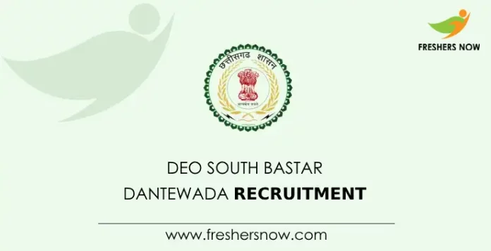DEO South Bastar Dantewada Recruitment