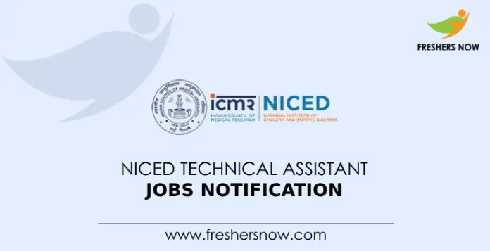 NICED Technical Assistant Jobs Notification
