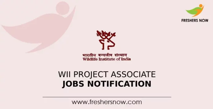 WII Project Associate Jobs Notification