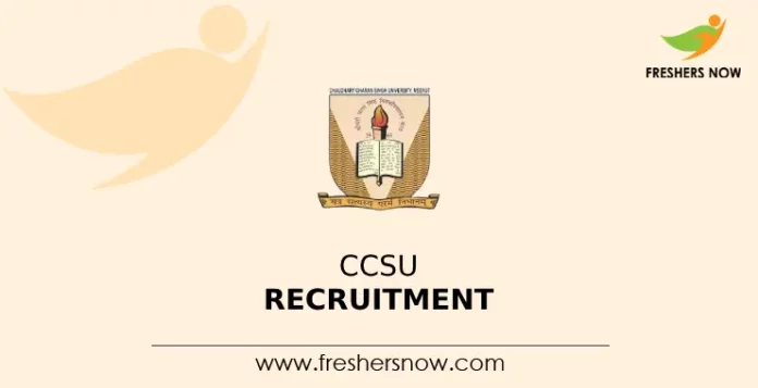 CCSU Recruitment