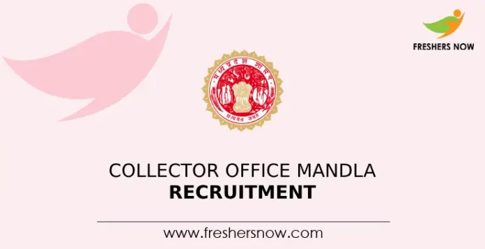 Collector Office Mandla Recruitment