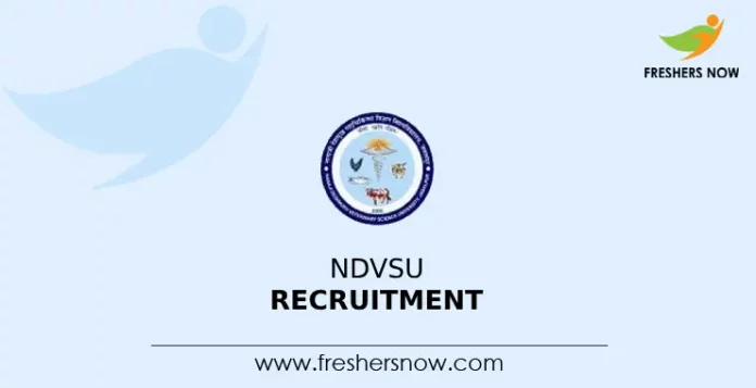 NDVSU Recruitment