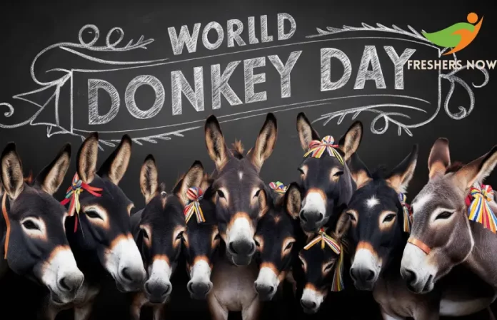 World Donkey Day