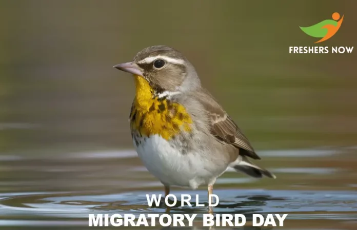 World Migratory Bird Day