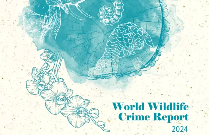 World Wildlife Crime Report 2024