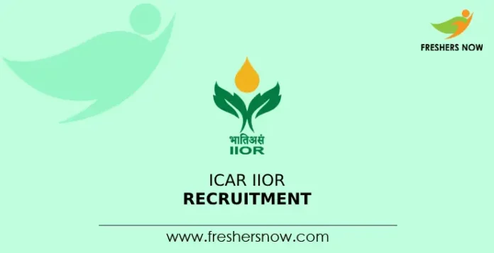 ICAR IIOR Recruitment