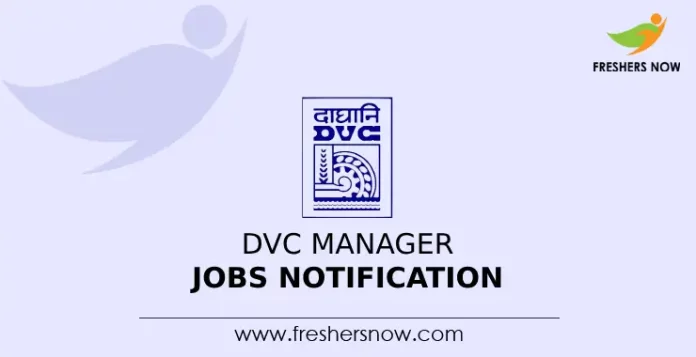 DVC Manager Jobs Notification 2024