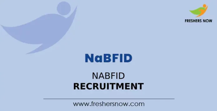 NaBFID Recruitment