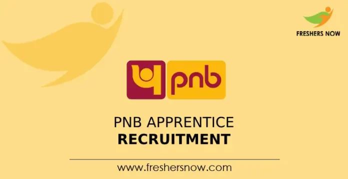 PNB Apprentice Recruitment